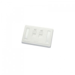 LINK FACE PLATE 2 PORT With Shutter, Icon & Label ID