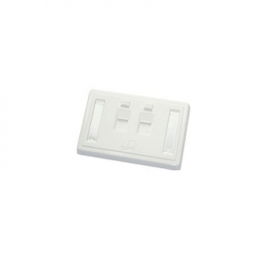 LINK FACE PLATE 2 PORT With Shutter, Icon & Label ID